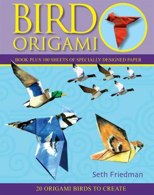 Cover of the book Bird Origami by Abby Ellsworth, Peggy Altman