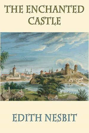 Cover of the book The Enchanted Castle by Robert Moore Williams