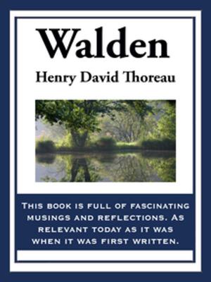 Cover of the book Walden by Milton Lesser