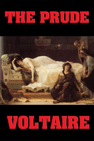 Cover of the book The Prude by William Tenn