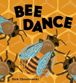 Cover of the book Bee Dance by Karen B. Winnick