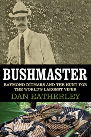 Cover of the book Bushmaster by David Rooney