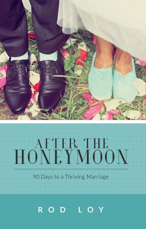 Book cover of After the Honeymoon