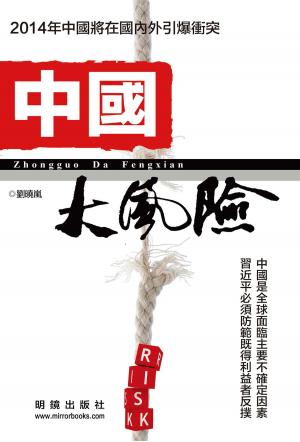 bigCover of the book 《中國大風險》 by 