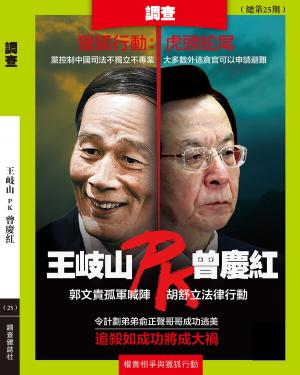Cover of the book 《調查》第25輯 by ANNE M REID