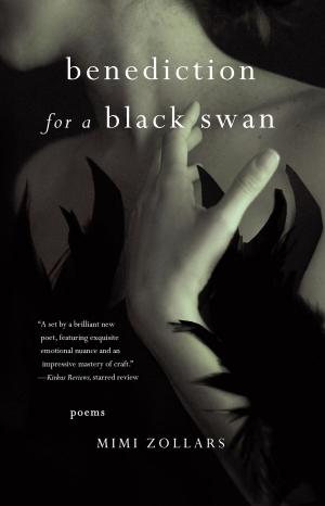 Cover of the book benediction for a black swan by Bonnie Friedman
