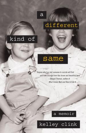 Cover of the book A Different Kind of Same by Nan Fink Gefen