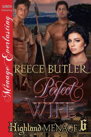 bigCover of the book A Perfect Wife by 