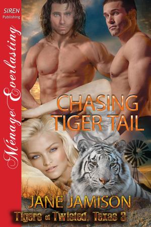 Book cover of Chasing Tiger Tail