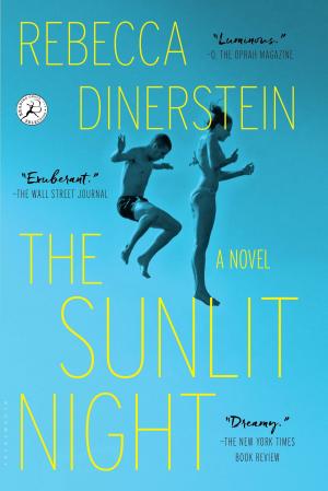 Book cover of The Sunlit Night