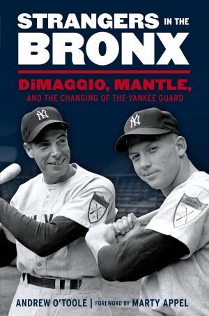 Cover of the book Strangers in the Bronx by Drew Goodman, Benjamin Hochman, Bud Black