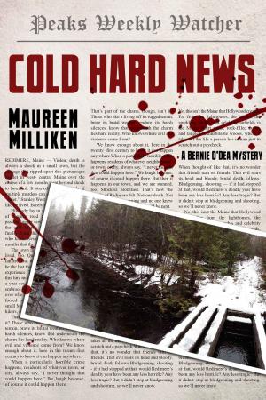 Cover of the book Cold Hard News by Nancy Jill Thames