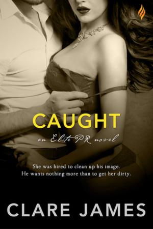 Cover of the book Caught by Avery Flynn