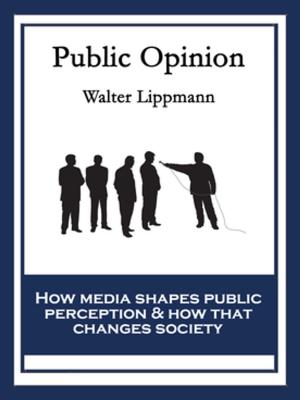 Cover of the book Public Opinion by B. M. Bower