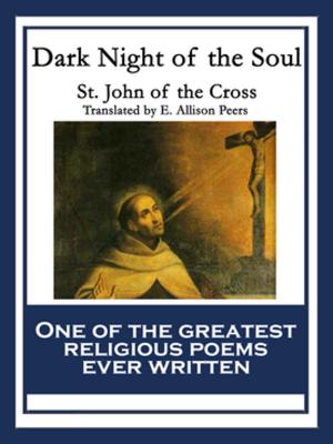 Cover of the book Dark Night of the Soul by Anjali Purohit