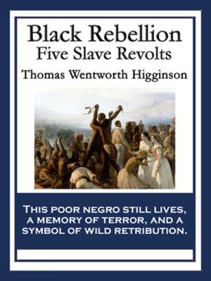 Book cover of Black Rebellion