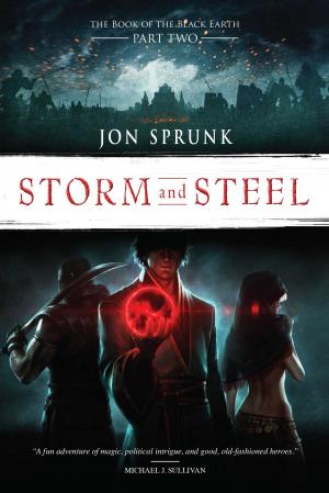 Cover of the book Storm and Steel by Martin Parece