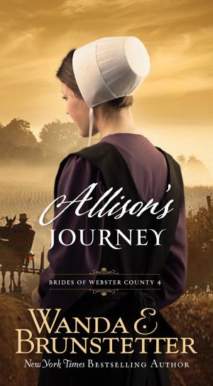 Cover of the book Allison's Journey by Abbot George Burke (Swami Nirmalananda Giri)