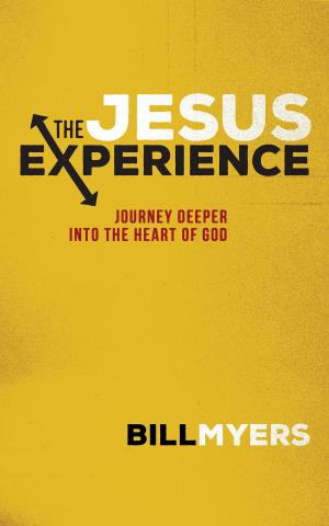 Cover of the book The Jesus Experience by Linda Ford