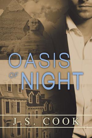 Cover of the book Oasis of Night by Steve Leggett