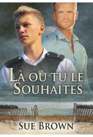 Cover of the book Là où tu le souhaites by J.S. Cook