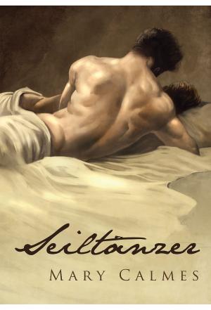Cover of the book Seiltänzer by B.G. Thomas