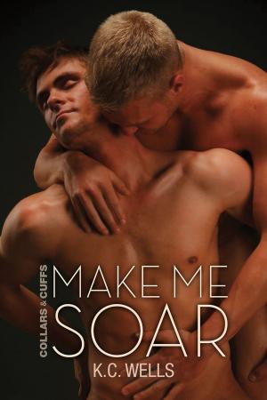 Cover of the book Make Me Soar by Felicitas Ivey