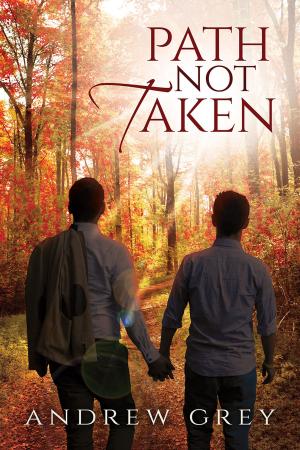 Cover of the book Path Not Taken by Chrissy Munder