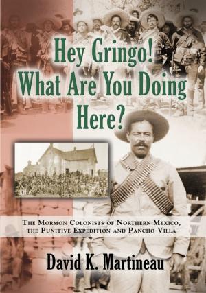 Cover of the book Hey Gringo! What Are You Doing Here? by Tony Cosentino