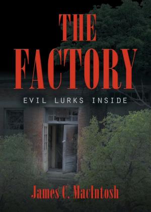 Book cover of THE FACTORY