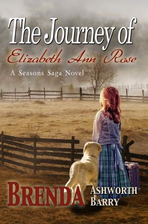 Cover of the book The Journey of Elizabeth Ann Rose by Christopher Carrolli
