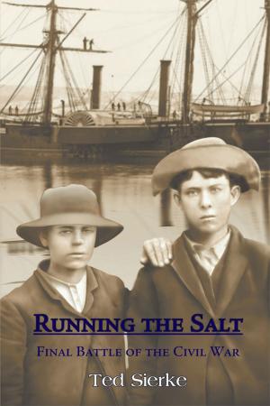 Cover of the book Running the Salt by Christine Dela Cruz Tomas