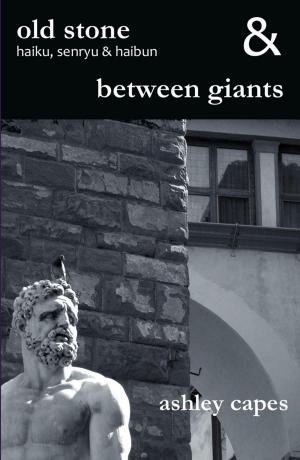 Book cover of old stone & between giants