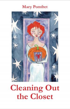 Cover of Cleaning Out the Closet