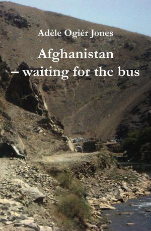 Cover of the book Afghanistan - waiting for the bus by Lisa Milner