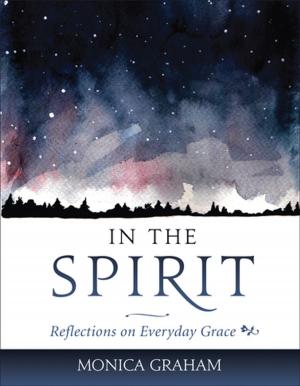 Cover of the book In the Spirit by Quentin Casey