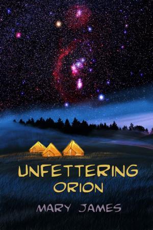 Cover of the book Unfettering Orion by Kenneth C. Flint