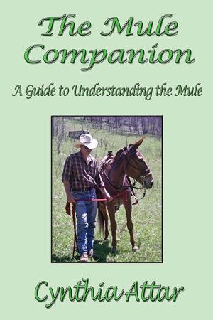 Cover of the book The Mule Companion by Jasmine Kinnear