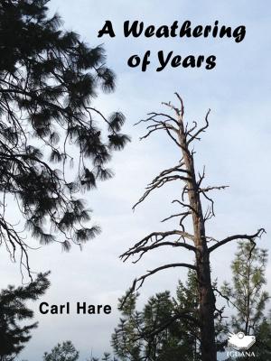 Cover of the book A Weathering of Years by Carolyn Bishop