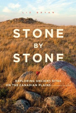 Cover of the book Stone by Stone by Ian Macdonald, Betty O'Keefe