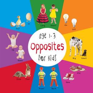 Cover of Opposites for Kids age 1-3 (Engage Early Readers: Children's Learning Books)