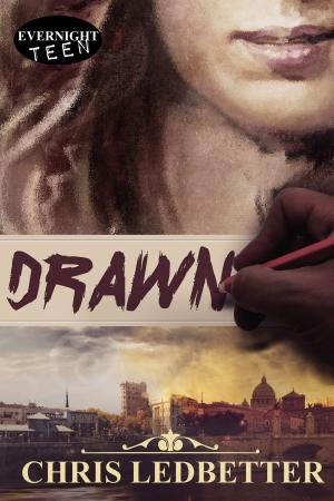 Cover of the book Drawn by Lee Ann Ward