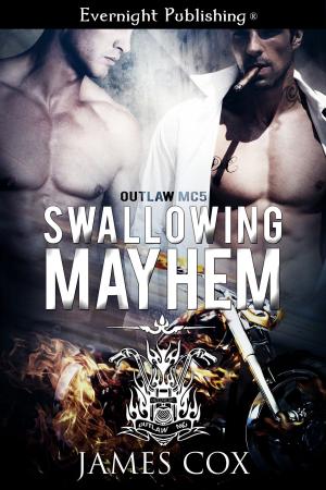 Book cover of Swallowing Mayhem