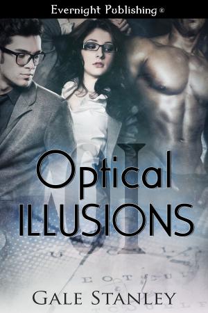 Cover of the book Optical Illusions by Naomi Clark