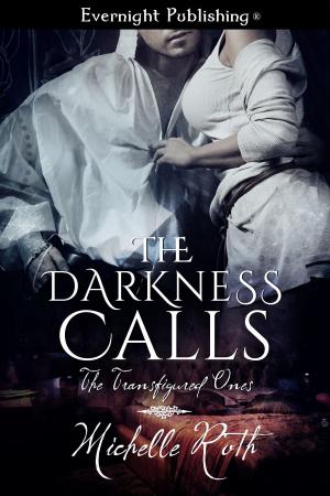 Cover of the book The Darkness Calls by Megan Slayer