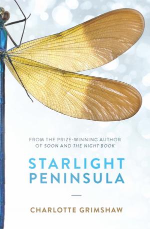 Cover of the book Starlight Peninsula by Julian Novitz