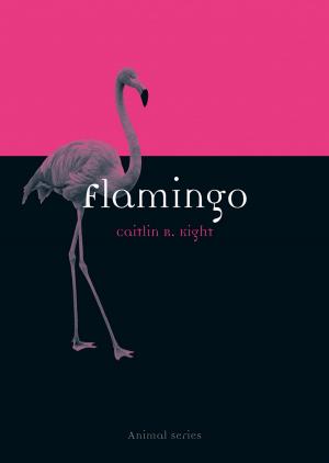 Cover of the book Flamingo by Katarzyna Michalski, Sergiusz Michalski