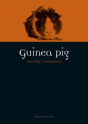 Cover of the book Guinea Pig by Mels van Driel