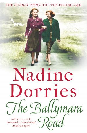 bigCover of the book The Ballymara Road by 