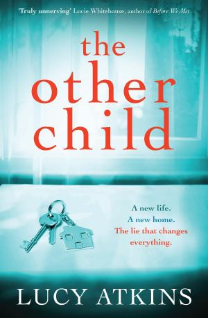Cover of the book The Other Child by David Rain